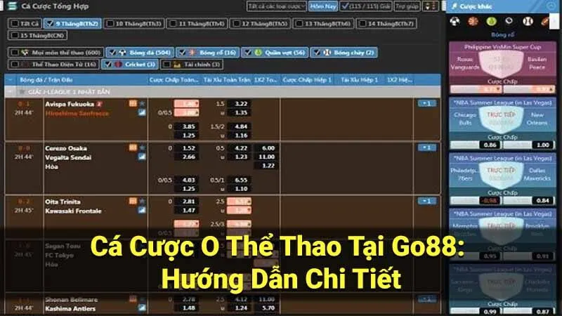 Cá Cược O Thể Thao Tại Go88: Hướng Dẫn Chi Tiết